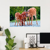 Poster Animaux de bébés cutest | Fawn with Babies (Bureau à domicile)