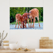 Poster Animaux de bébés cutest | Fawn with Babies (Cuisine)