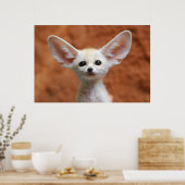 Poster Animaux de bébés cutest | Fennec Fox Pup (Cuisine)