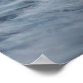 Poster Animaux de bébés cutest | Fluffy B&W Kitten (Coin)