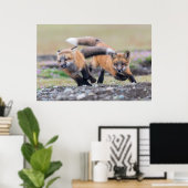 Poster Animaux de bébés cutest | Fox Pups en jeu (Bureau à domicile)