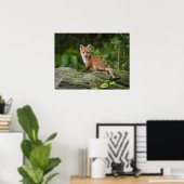 Poster Animaux de bébés cutest | Foxy Smile (Bureau à domicile)