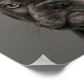 Poster Animaux de bébés cutest | French Bulldog (Coin)