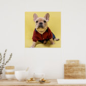 Poster Animaux de bébés cutest | French Bulldog habillé (Cuisine)