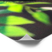 Poster Animaux de bébés cutest | Géant Panda Cub (Coin)