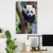 Poster Animaux de bébés cutest | Géant Panda Cub (Bureau à domicile)