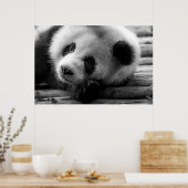 Poster Animaux de bébés cutest | Giant Panda Bear Cub (Cuisine)