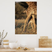 Poster Animaux de bébés cutest | Girafe bébé et parent (Cuisine)