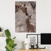 Poster Animaux de bébés cutest | Giraffe mère et bébé (Bureau à domicile)
