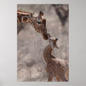 Poster Animaux de bébés cutest | Giraffe mère et bébé (Devant)