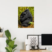 Poster Animaux de bébés cutest | Gorilla & bébé (Bureau à domicile)