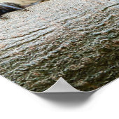 Poster Animaux de bébés cutest | Hedgehog Smile (Coin)