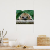 Poster Animaux de bébés cutest | Hedgehog Smile (Cuisine)
