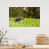 Poster Animaux de bébés cutest | Hérisson européen (Cuisine)