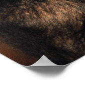 Poster Animaux de bébés cutest | Hug de chimpanzé (Coin)