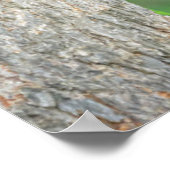 Poster Animaux de bébés cutest | Jeune ours Ours Noir (Coin)