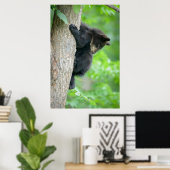 Poster Animaux de bébés cutest | Jeune ours Ours Noir (Bureau à domicile)