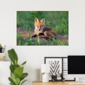 Poster Animaux de bébés cutest | Kit Red Fox Relaxant (Bureau à domicile)
