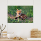 Poster Animaux de bébés cutest | Kit Red Fox Relaxant (Cuisine)