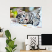Poster Animaux de bébés cutest | Kitten aux yeux bleus (Bureau à domicile)