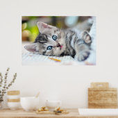 Poster Animaux de bébés cutest | Kitten aux yeux bleus (Cuisine)