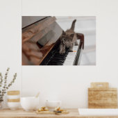 Poster Animaux de bébés cutest | Kitten sur piano (Cuisine)