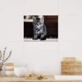 Poster Animaux de bébés cutest | Kitten sur Touches de pi (Cuisine)