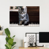 Poster Animaux de bébés cutest | Kitten sur Touches de pi (Bureau à domicile)