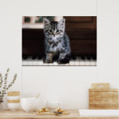 Poster Animaux de bébés cutest | Kitten sur Touches de pi (Cuisine)