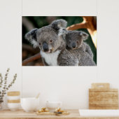 Poster Animaux de bébés cutest | Koala et Joey (Cuisine)