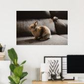 Poster Animaux de bébés cutest | Lapin nain de Pays-Bas (Bureau à domicile)