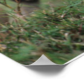 Poster Animaux de bébés cutest | Lion Cub & Mother (Coin)