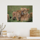 Poster Animaux de bébés cutest | Lion Cub & Mother (Cuisine)