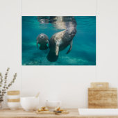 Poster Animaux de bébés cutest | Manat & bébé (Cuisine)