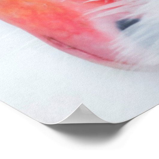 Poster Animaux de bébés cutest | Mère et bébé Mute Swan (Coin)