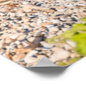 Poster Animaux de bébés cutest | Mère Ours & Cubs (Coin)