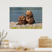 Poster Animaux de bébés cutest | Mère Ours & Cubs (Cuisine)