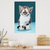 Poster Animaux de bébés cutest | Mewing Baby Kitten (Cuisine)