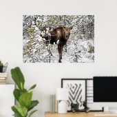 Poster Animaux de bébés cutest | Moose Calf (Bureau à domicile)