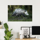 Poster Animaux de bébés cutest | Opossum Maman & Kids (Bureau à domicile)
