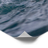 Poster Animaux de bébés cutest | Otter Baby & Mère (Coin)