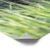 Poster Animaux de bébés cutest | Paire de frères et soeur (Coin)