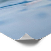 Poster Animaux de bébés cutest | Persian Calico Kitten (Coin)