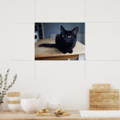 Poster Animaux de bébés cutest | Portrait d'un chat noir (Cuisine)