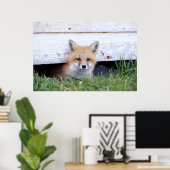Poster Animaux de bébés cutest | Red Fox Kit Peeking (Bureau à domicile)