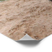 Poster Animaux de bébés cutest | Renard rouge et bébé (Coin)