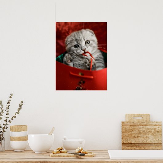 Poster Animaux de bébés cutest | Scottish Fold Kitten (Cuisine)