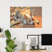 Poster Animaux de bébés cutest | Shy Corgi (Bureau à domicile)