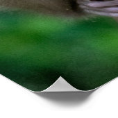 Poster Animaux de bébés cutest | Singe bébé (Coin)