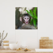 Poster Animaux de bébés cutest | Singe des neiges surpris (Cuisine)